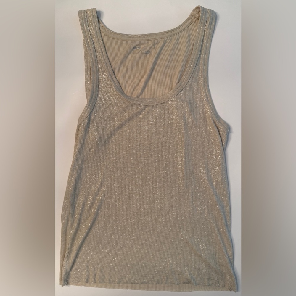 Shimmering Sleeveless Top - Beige